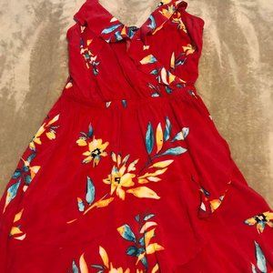 Express Size M Dress
